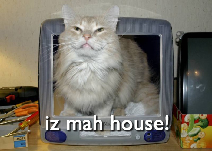 yet_another_lolcat